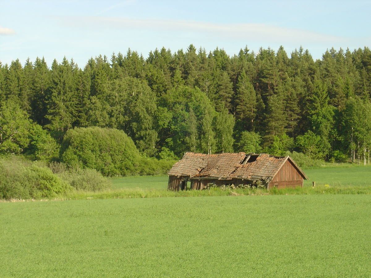 照片 瑞典(Sweden) 锡格蒂纳至乌普萨拉公路(Sigtuna to Uppsala road) 2005-06 14