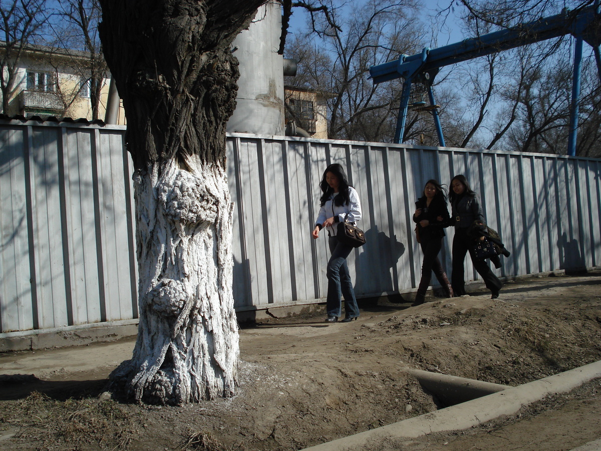 照片 哈萨克斯坦(Kazakhstan) 阿拉木图(Almaty) 2007-03 145