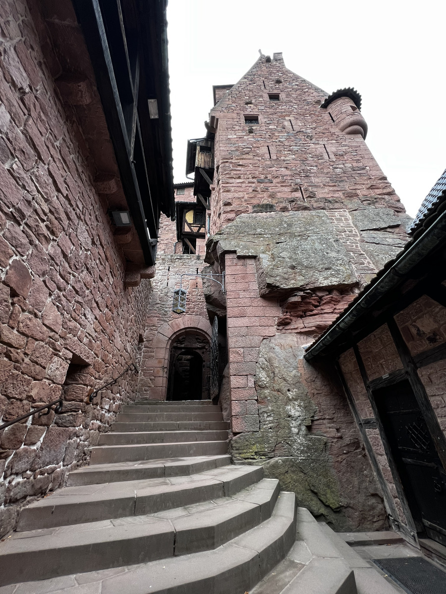 照片 法国(France) 上国王堡(Koenigsbourg Castle) 2023-10 61