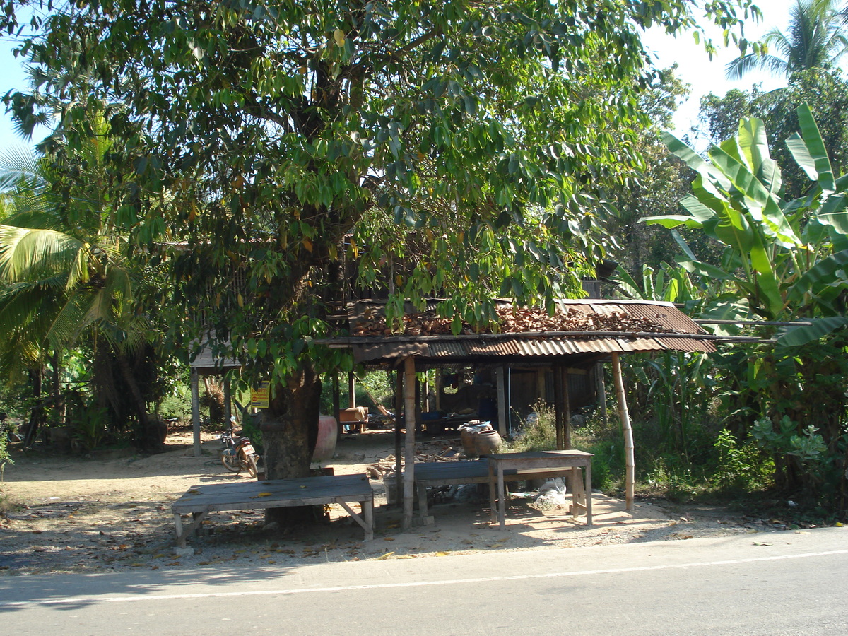 照片 泰国(Thailand) 彭世洛(Phitsanulok) 2008-01 33
