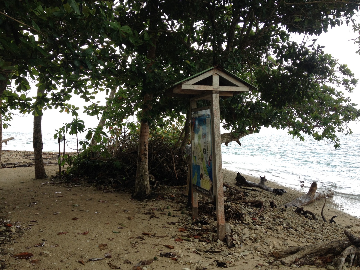 照片 哥斯达黎加(Costa Rica) 卡维塔(Cahuita) 2015-03 47