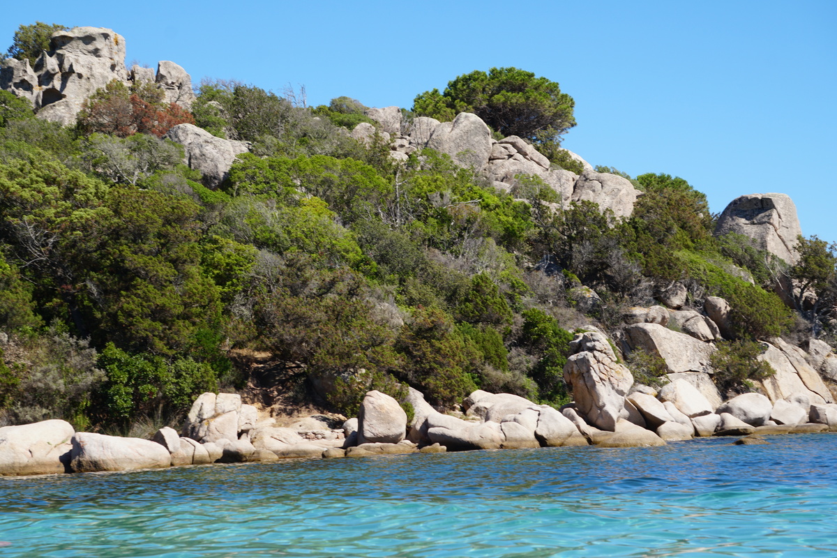 照片 法国(France) 科西嘉岛(Corsica) 圣朱莉亚海滩(Santa Giulia Beach) 2017-07 18