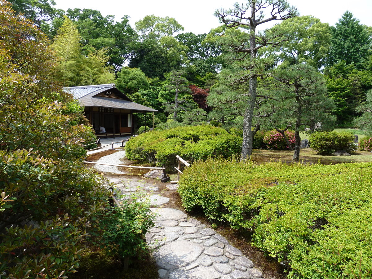 照片 日本(Japan) 京都(Kyoto) 二条城(Nijo Castle) 2010-06 21