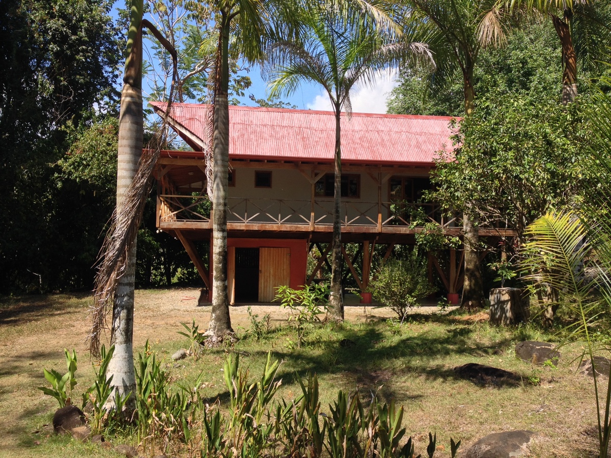 照片 哥斯达黎加(Costa Rica) 乌维塔(Uvita) 2015-03 85