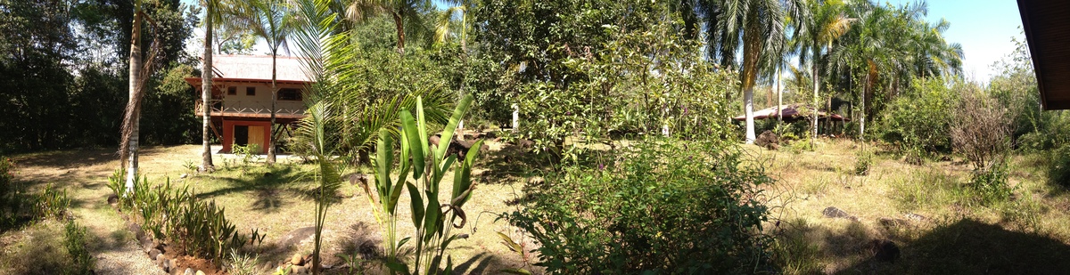 照片 哥斯达黎加(Costa Rica) 乌维塔(Uvita) 2015-03 86