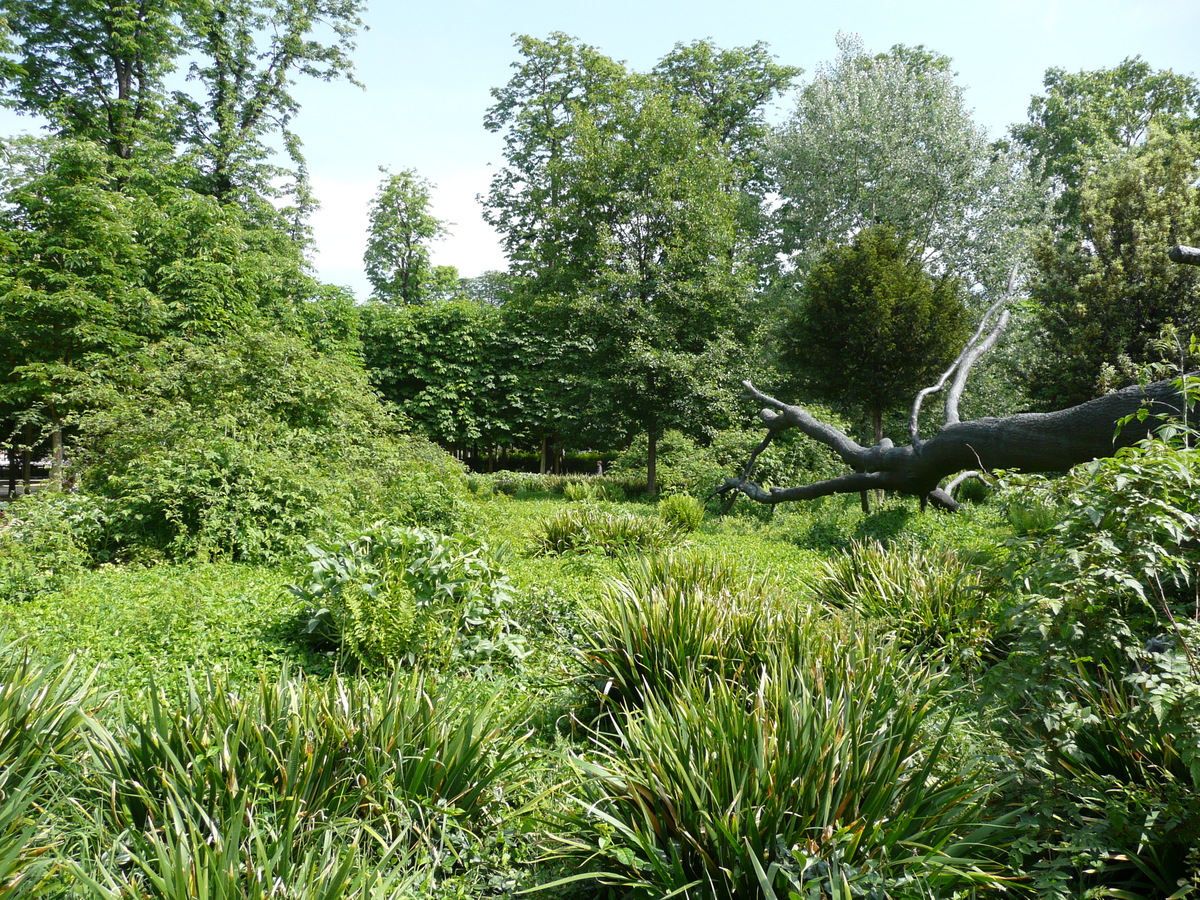 照片 法国(France) 巴黎(Paris) 杜乐丽花园(Garden of Tuileries) 2007-05 300