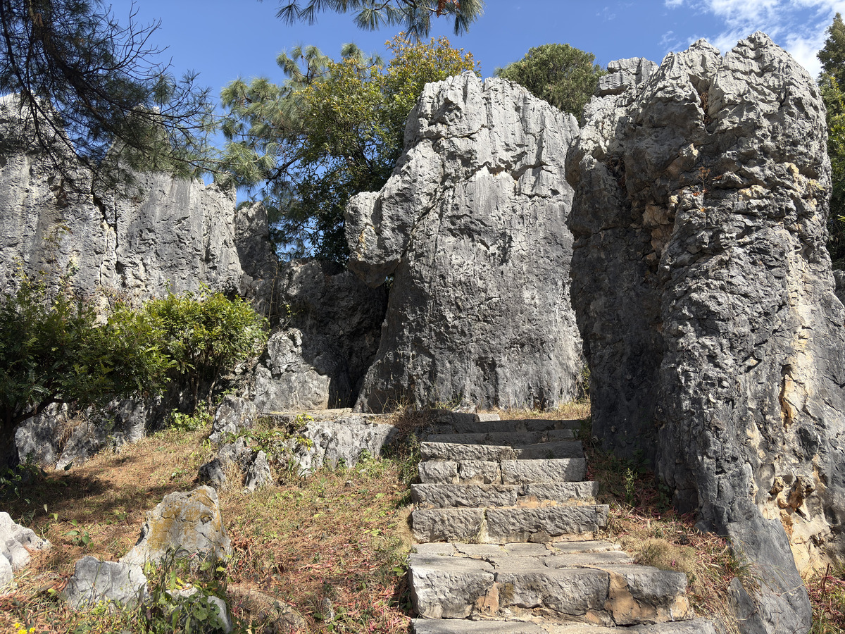照片 中国(China) 石林(Shilin Stone Forest) 2026-01 352