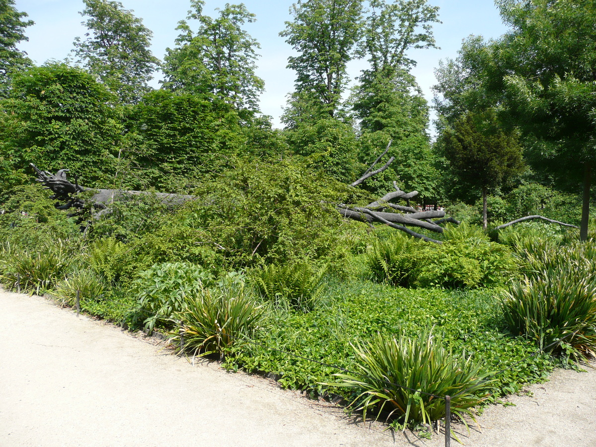 照片 法国(France) 巴黎(Paris) 杜乐丽花园(Garden of Tuileries) 2007-05 290
