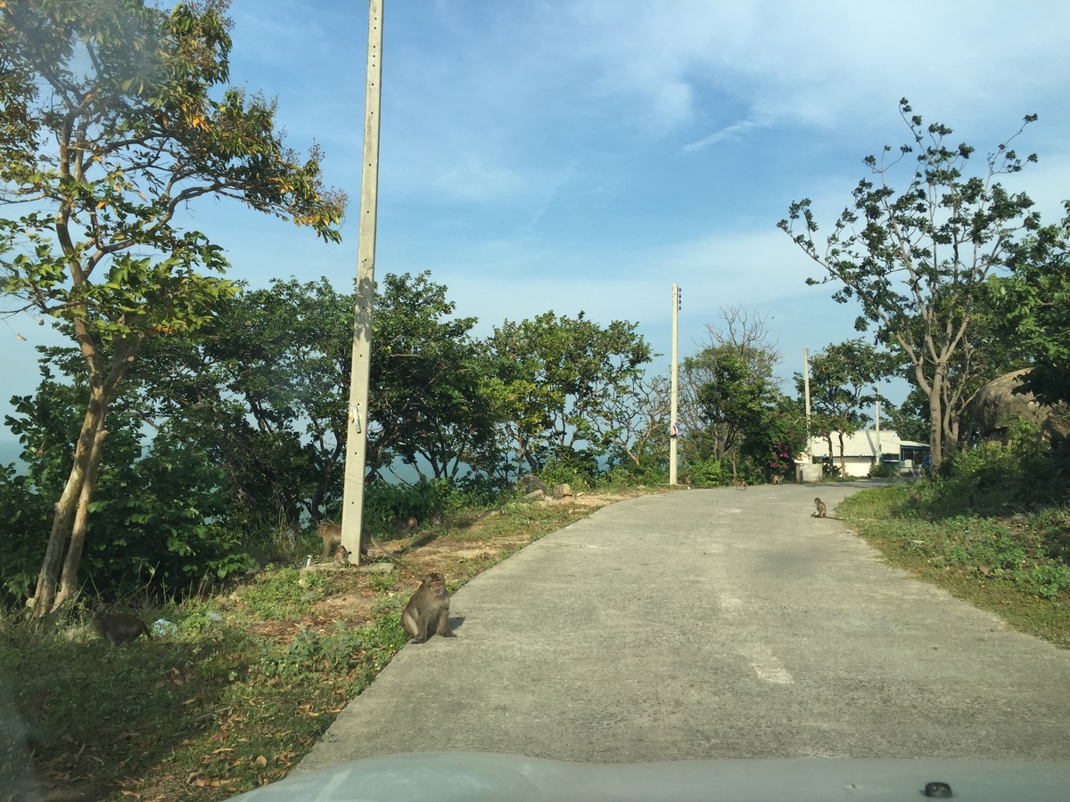 照片 泰国(Thailand) 华欣(Hua hin) 2016-01 48