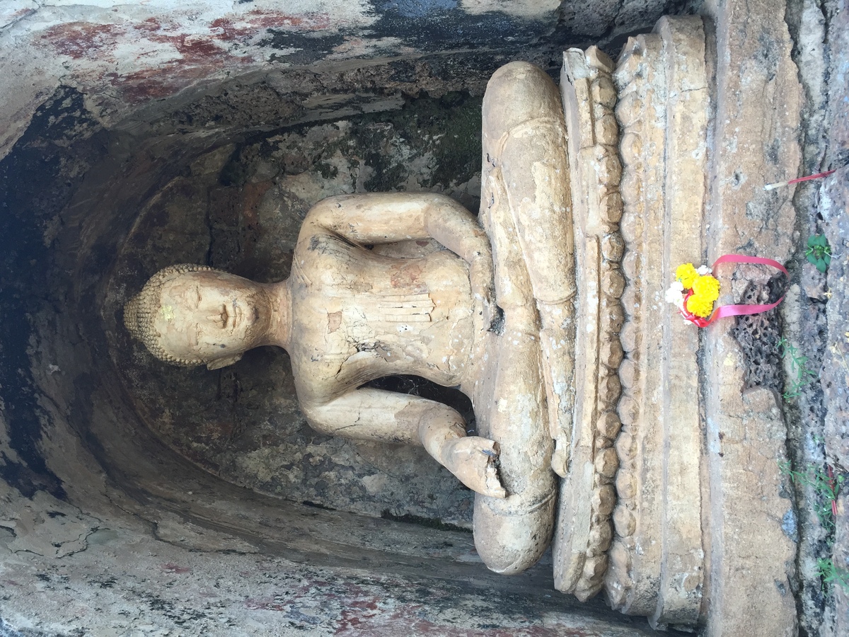 照片 泰国(Thailand) 西沙差那莱历史公园(Si satchanalai historical park) 2014-12 28