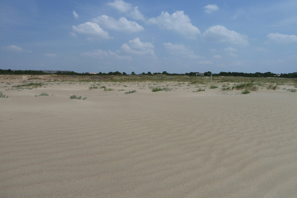 照片 法国(France) 圣布雷万(St Brevin) 2011-05 1