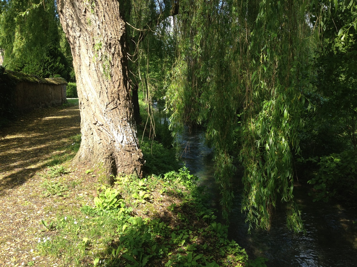 照片 法国(France) 里昂拉福雷(Lyons La Foret) 2014-05 56