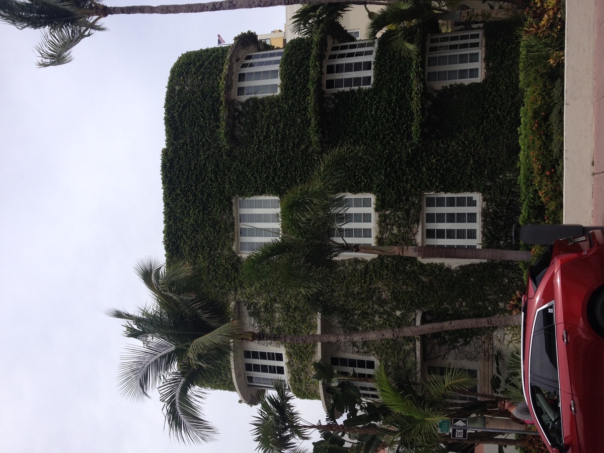 照片 美国(United States) 迈阿密海滩(Miami Beach) 2015-03 86