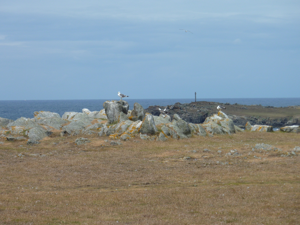 照片 法国(France) 伊厄岛(Ile d'yeu) 2009-07 56