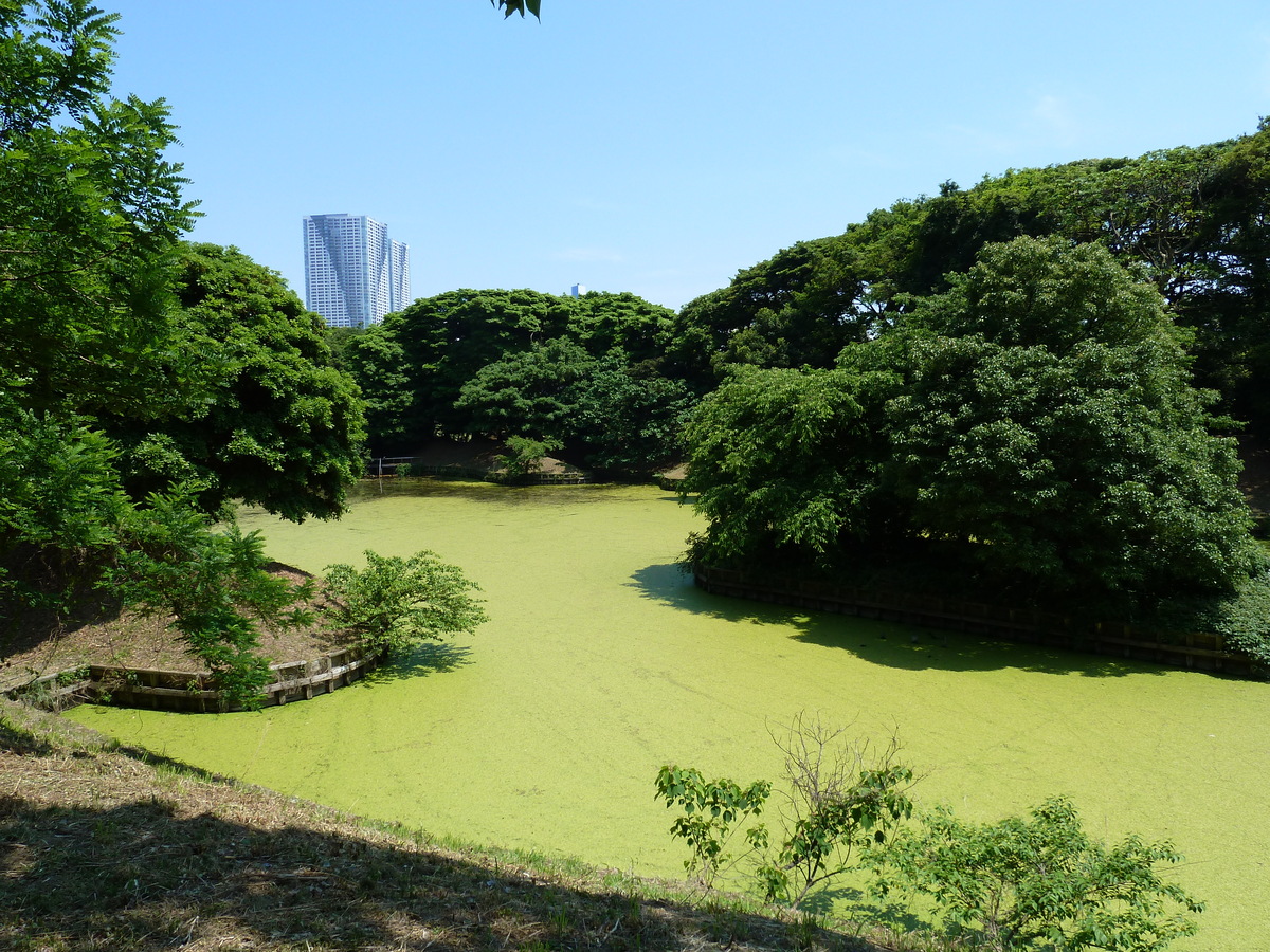 照片 日本(Japan) 东京(Tokyo) 滨离宫恩赐庭园(Hama rikyu Gardens) 2010-06 62