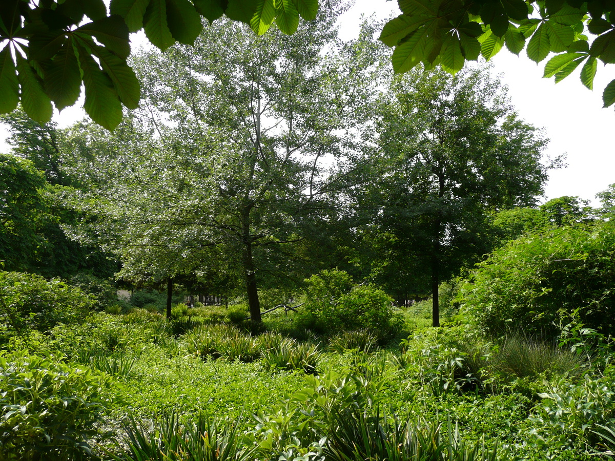 照片 法国(France) 巴黎(Paris) 杜乐丽花园(Garden of Tuileries) 2007-05 212
