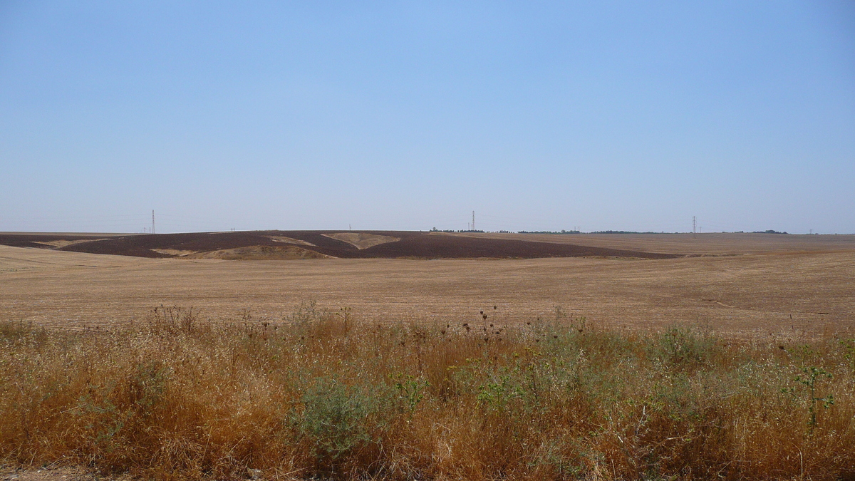 照片 以色列(Israel) 阿什凯隆至阿拉德公路(Ashkelon to Arad road) 2007-06 9