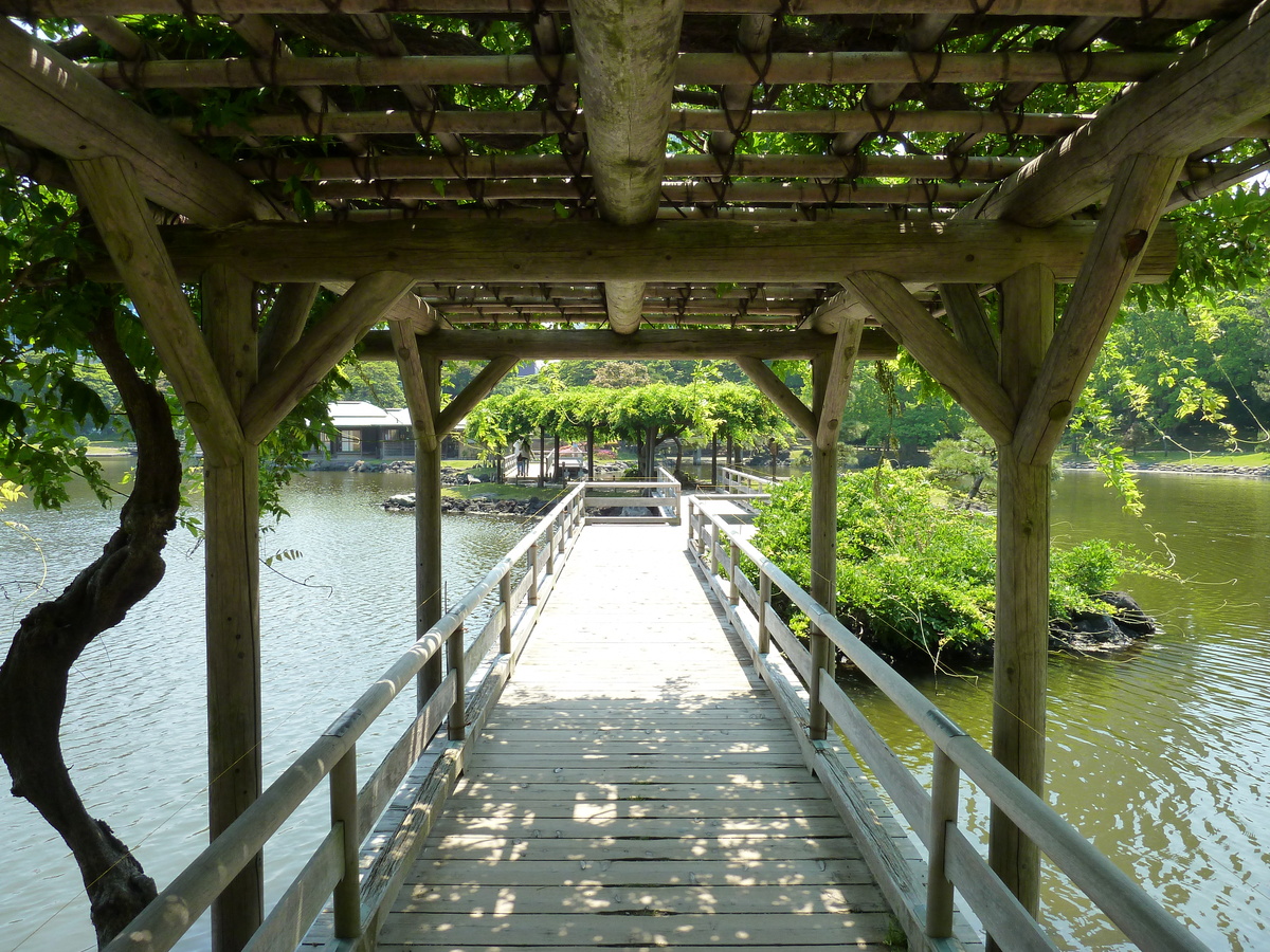 照片 日本(Japan) 东京(Tokyo) 滨离宫恩赐庭园(Hama rikyu Gardens) 2010-06 81