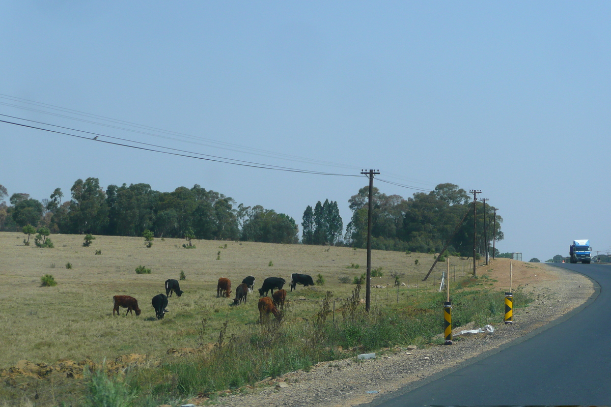 照片 南非(South Africa) 内尔斯普雷特至约翰内斯堡公路(Nelspruit to Johannesburg road) 2008-09 86