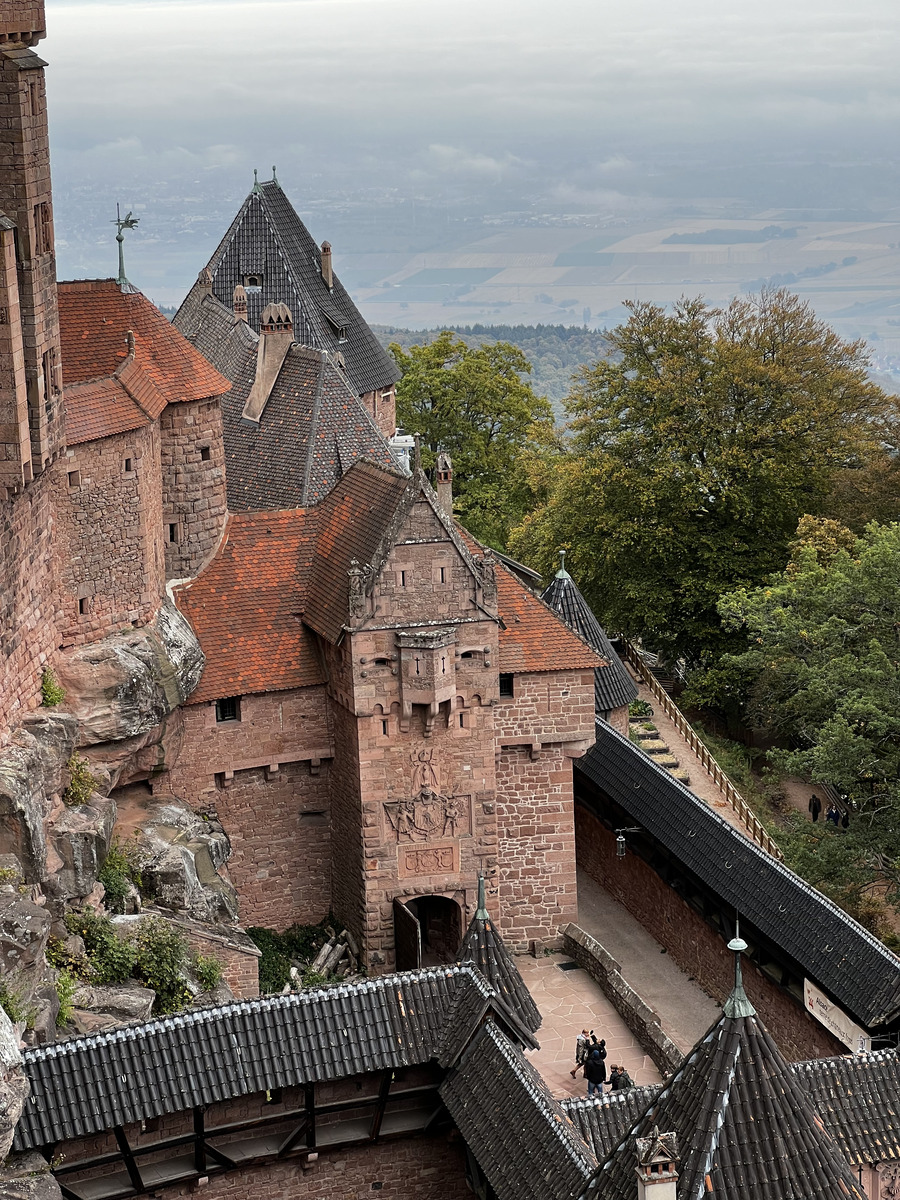 照片 法国(France) 上国王堡(Koenigsbourg Castle) 2023-10 110