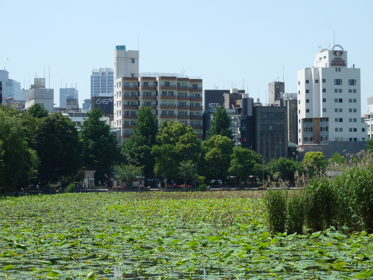 照片 日本(Japan) 东京(Tokyo) 上野(Ueno) 2010-06 78