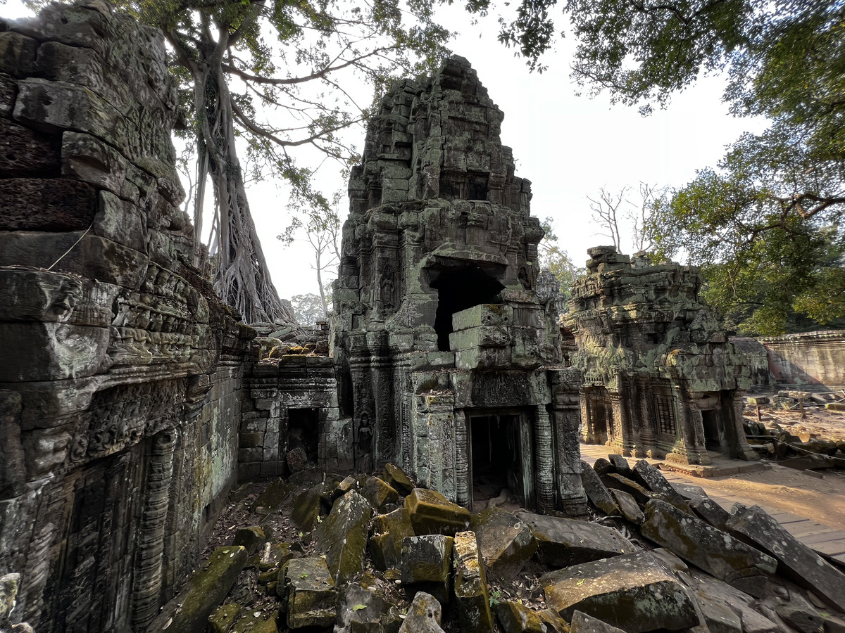 照片 柬埔寨(Cambodia) 暹粒(Siem Reap) 塔布茏寺(Ta Prohm) 2023-01 67