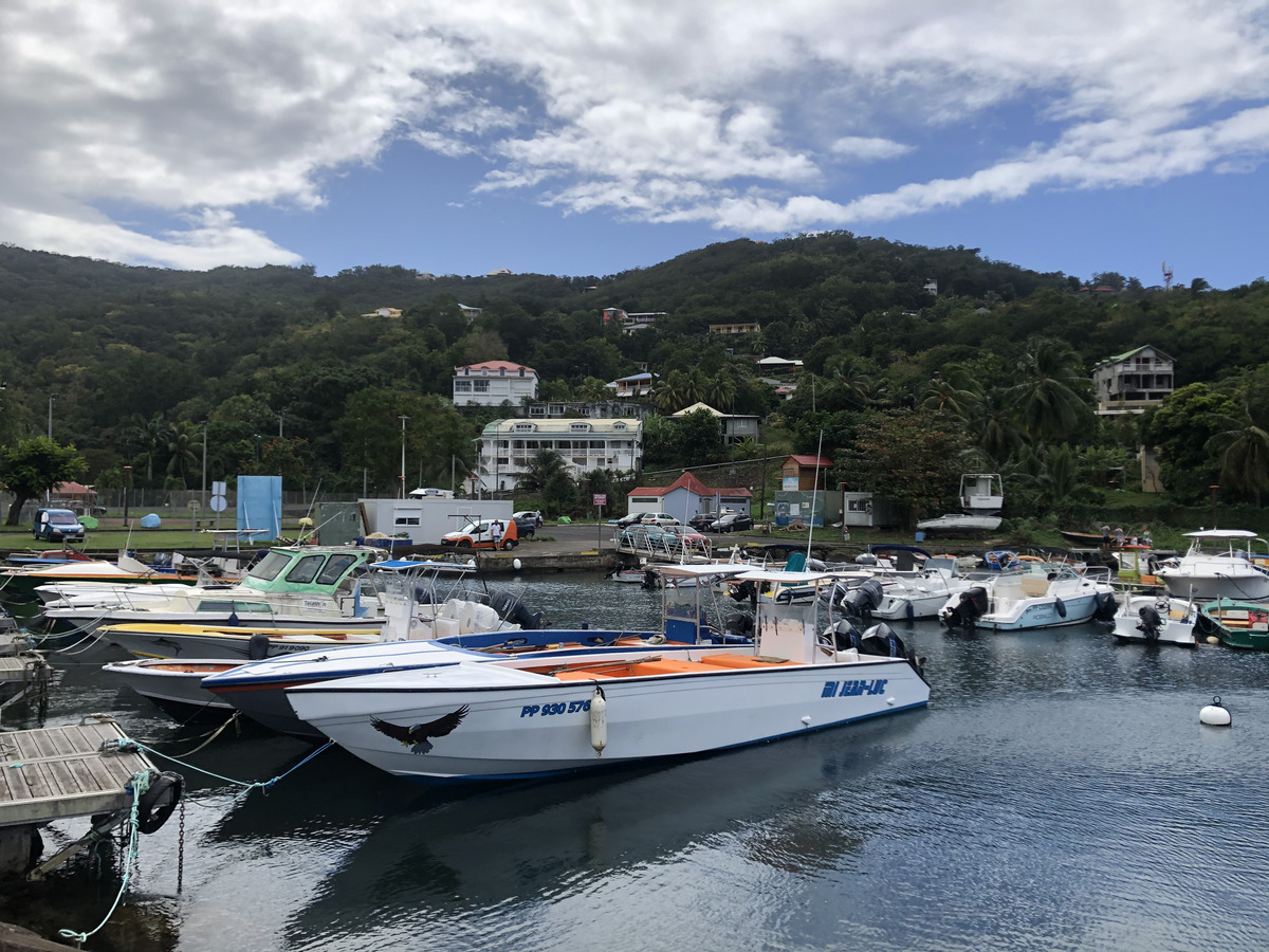 照片 瓜德罗普(Guadeloupe) 黑角(Black Point) 2021-02 12