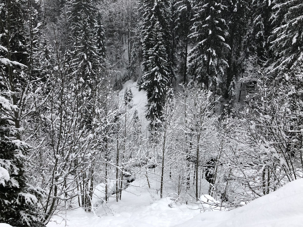 照片 法国(France) 拉克吕萨(La Clusaz) 2017-12 74