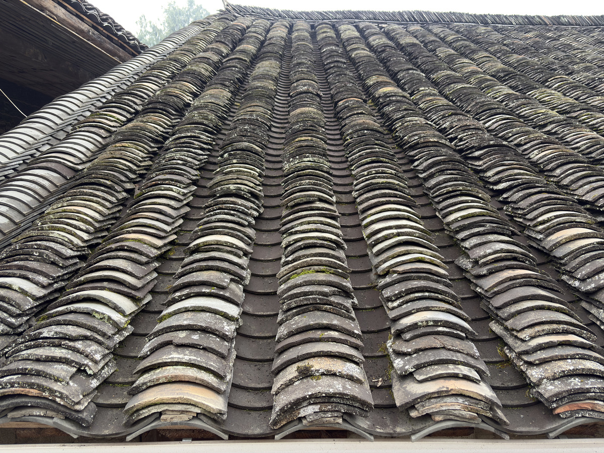 照片 中国(China) 芙蓉古镇(Furong Ancient Town) 2026-01 102