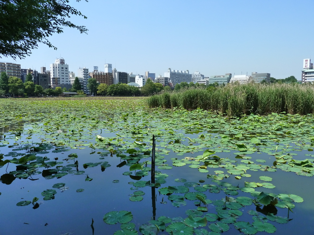 照片 日本(Japan) 东京(Tokyo) 上野(Ueno) 2010-06 69