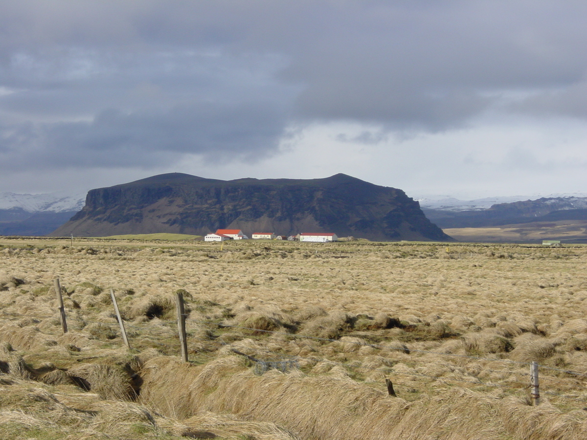 照片 冰岛(Iceland) 迪霍拉伊(Dyrholaey) 2003-03 5