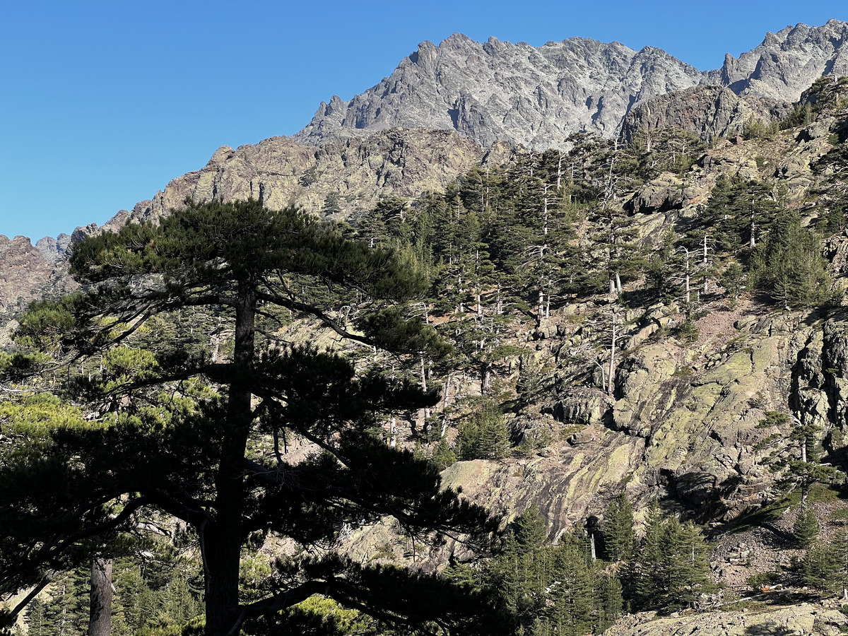 照片 法国(France) 科西嘉岛(Corsica) 钦托山(Monte Cinto) 2023-10 87