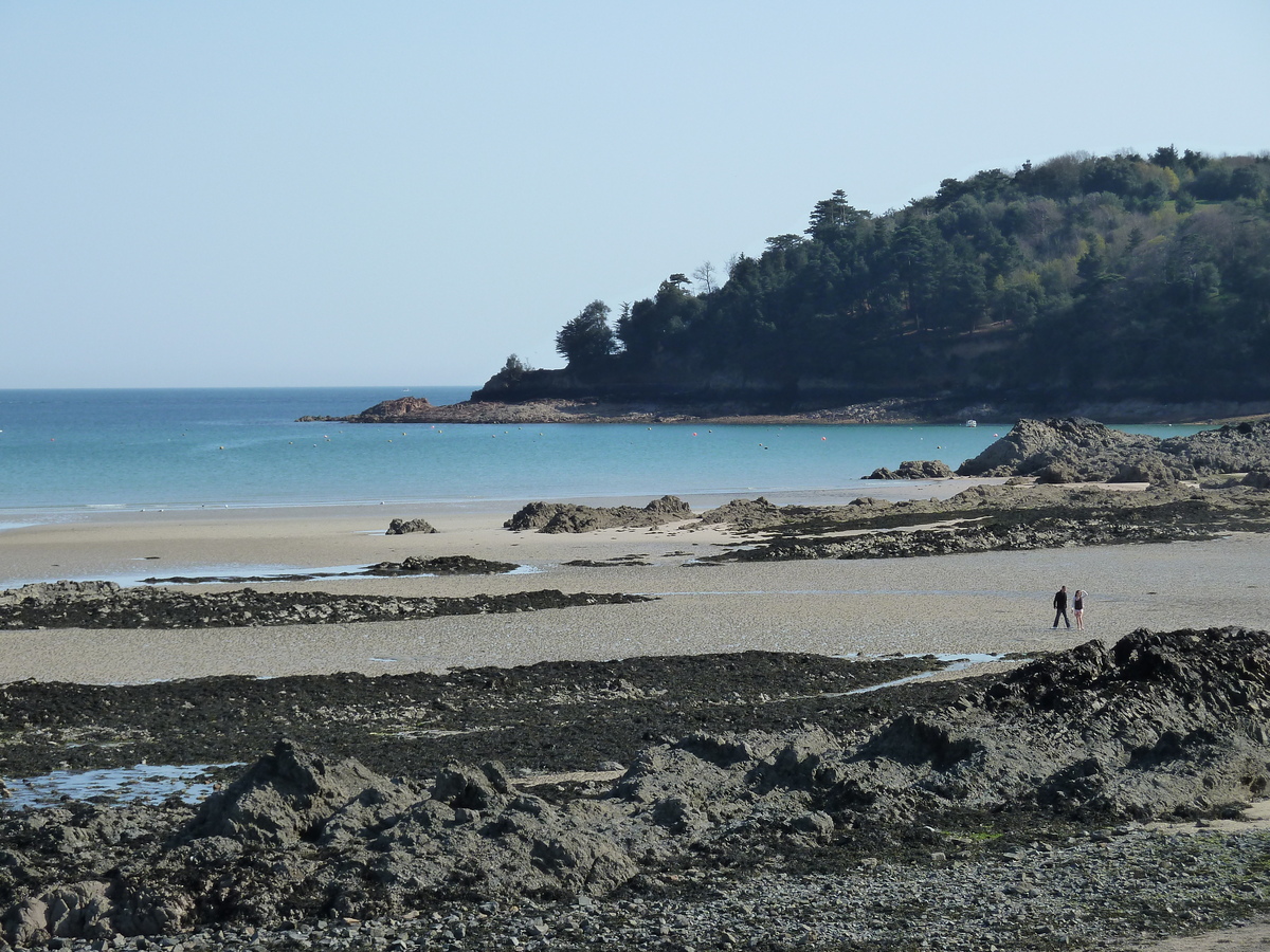 照片 泽西岛(Jersey) 2010-04 24