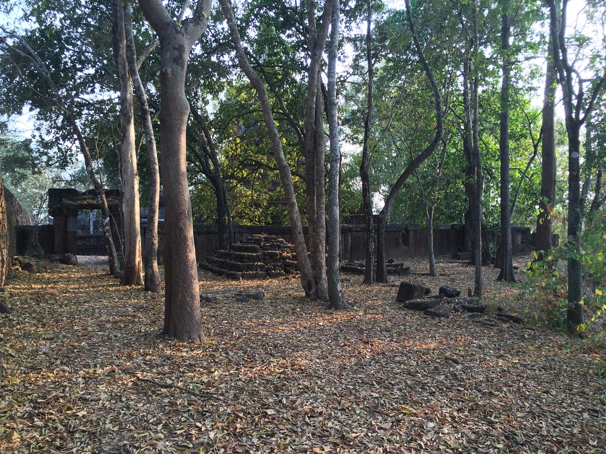 照片 泰国(Thailand) 西沙差那莱历史公园(Si satchanalai historical park) 2014-12 168