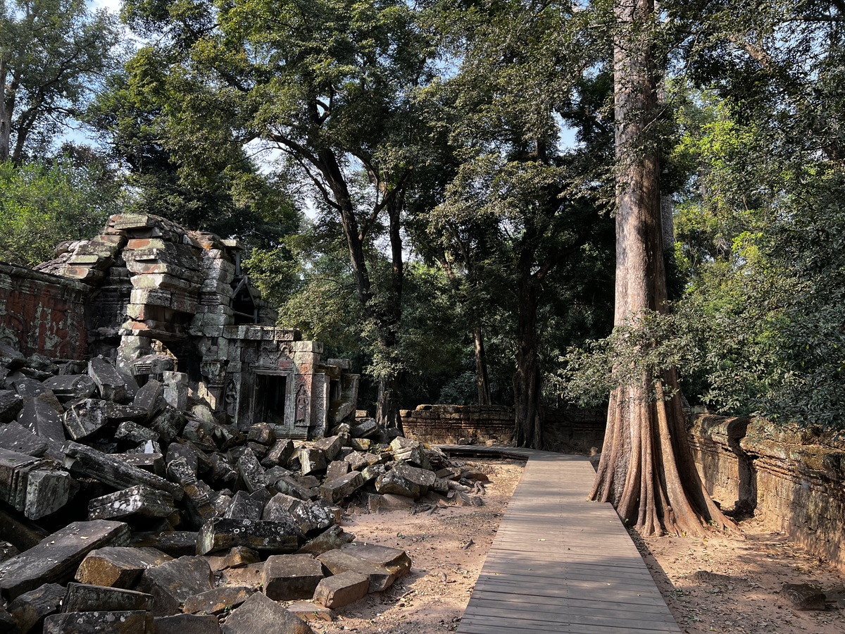 照片 柬埔寨(Cambodia) 暹粒(Siem Reap) 塔布茏寺(Ta Prohm) 2023-01 35