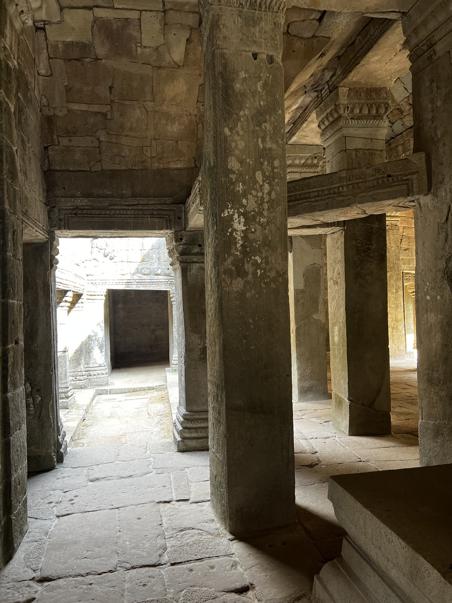 照片 柬埔寨(Cambodia) 暹粒(Siem Reap) 塔布茏寺(Ta Prohm) 2023-01 79