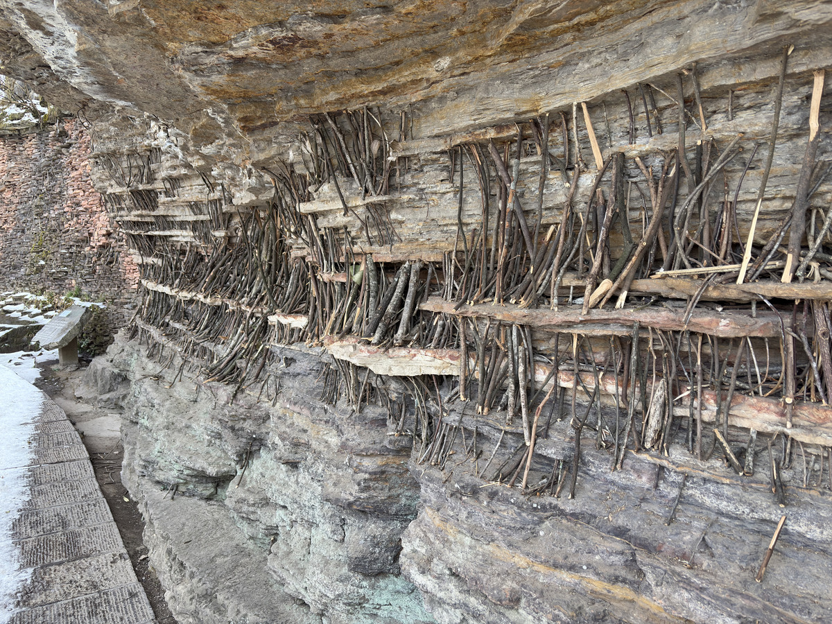 照片 中国(China) 张家界(Zhangjiajie) 天子山(Tianzi Mountain) 2026-01 200