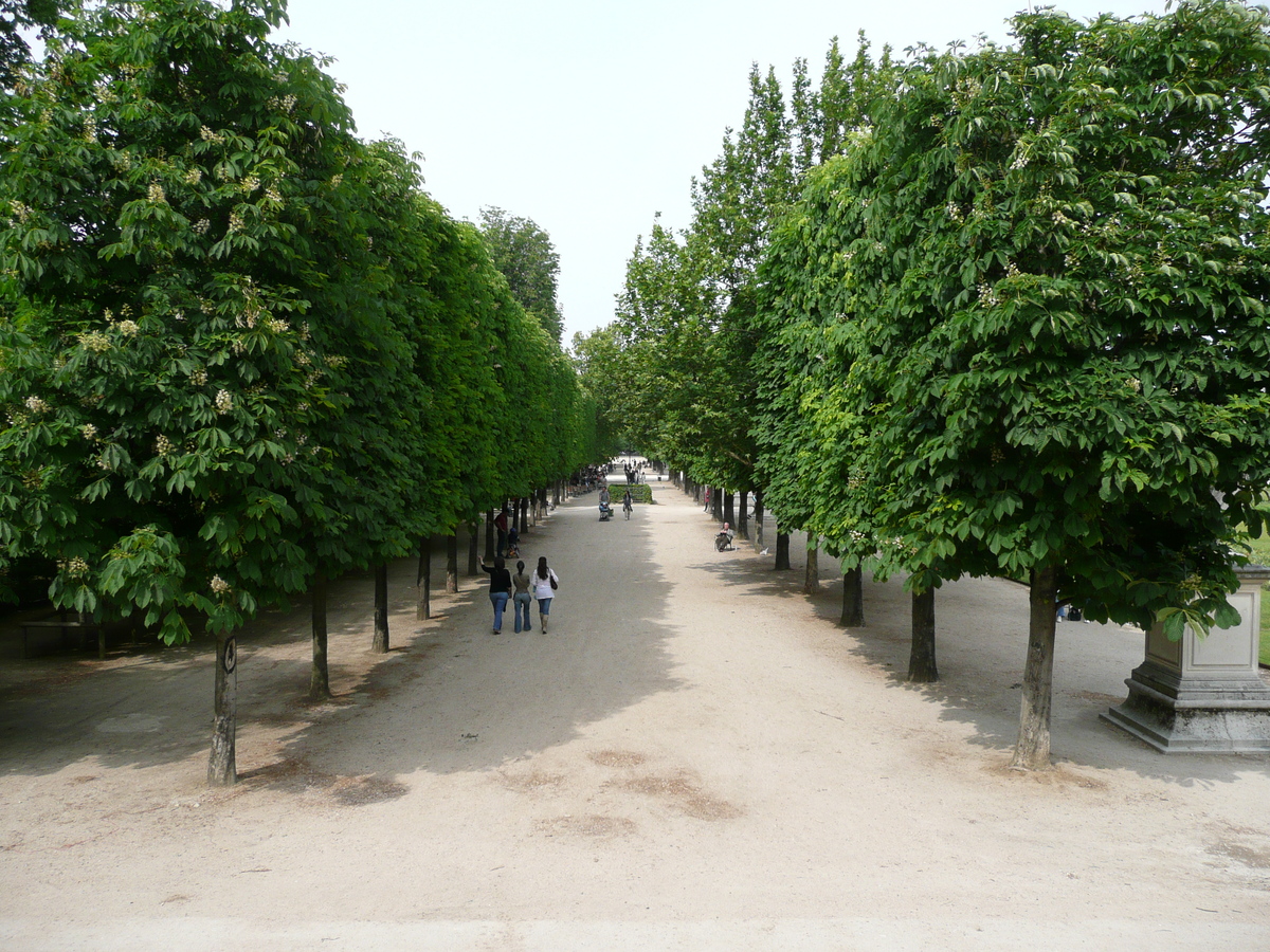 照片 法国(France) 巴黎(Paris) 杜乐丽花园(Garden of Tuileries) 2007-05 291