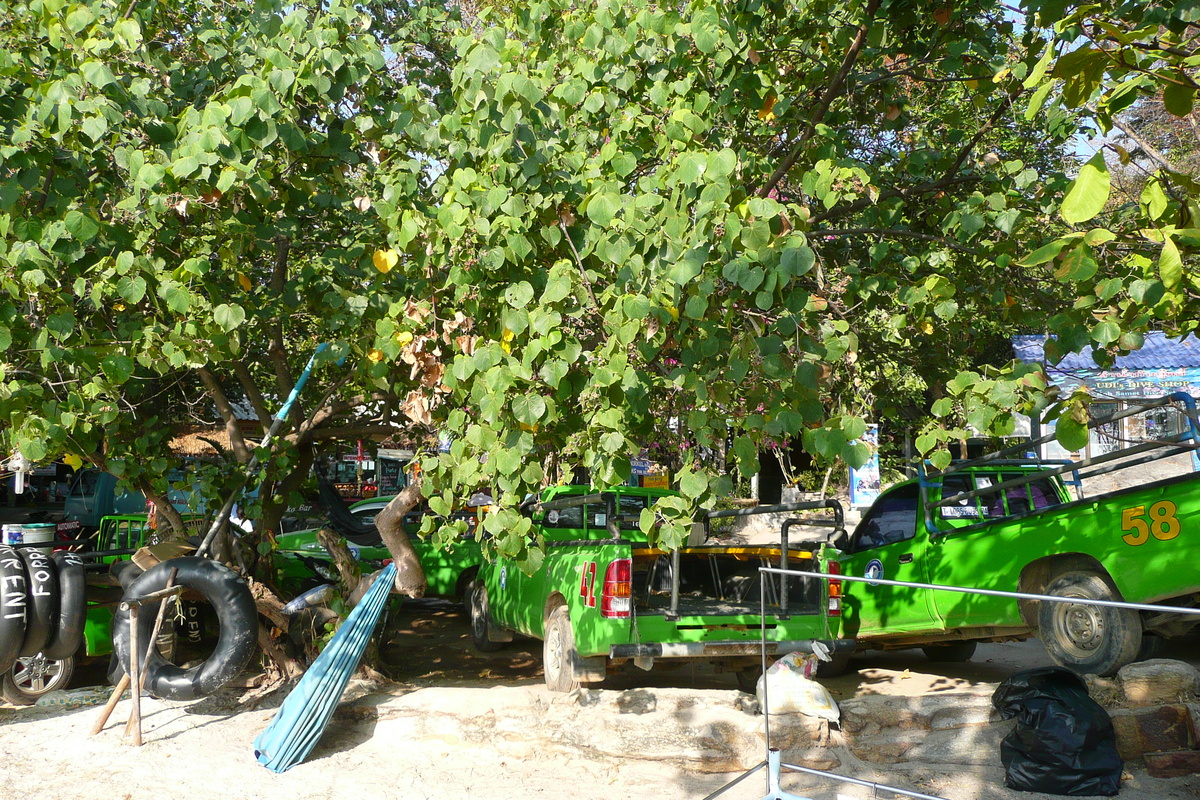 照片 泰国(Thailand) 沙美岛(Ko Samet) 2009-01 38