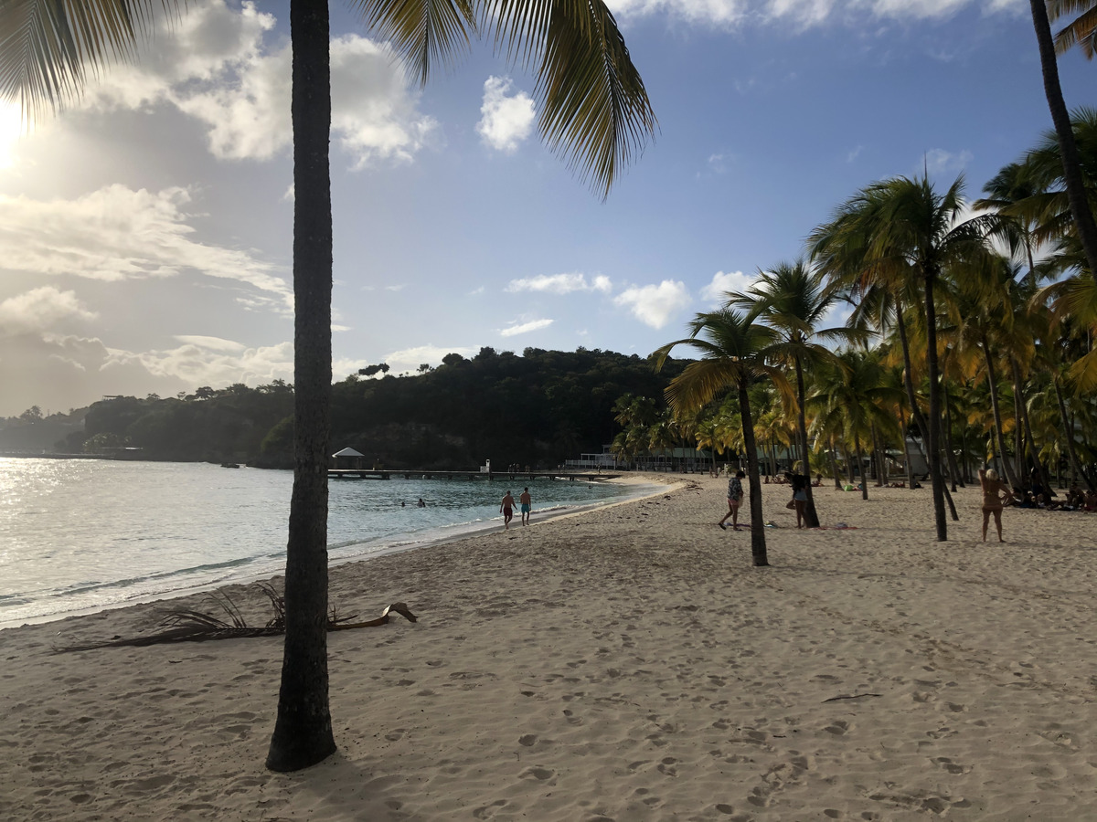 照片 瓜德罗普(Guadeloupe) 卡拉维尔海滩(La Caravelle Beach) 2021-02 58