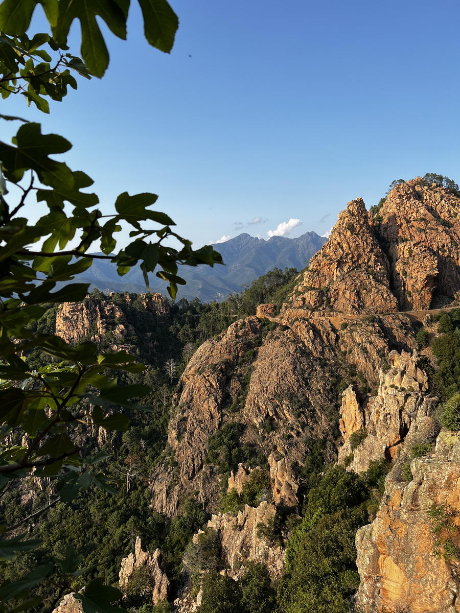 照片 法国(France) 科西嘉岛(Corsica) 皮亚纳峡湾(Calanques de Piana) 2023-06 50