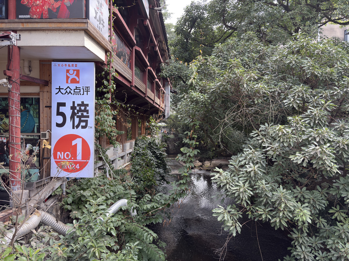 照片 中国(China) 阳朔(Yangshuo) 2026-01 9