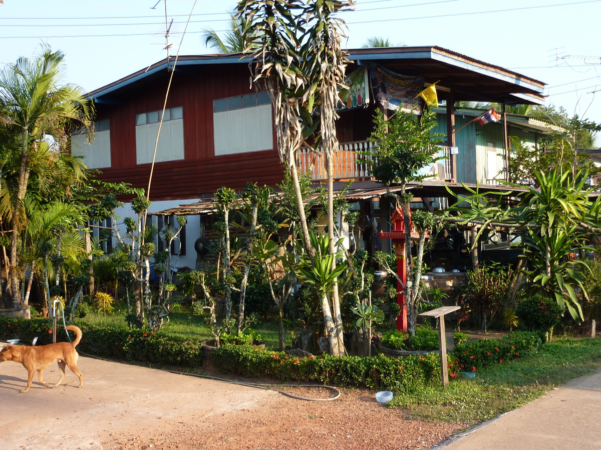 照片 泰国(Thailand) 彭世洛(Phitsanulok) 宗通(Chom Thong) 2009-12 44
