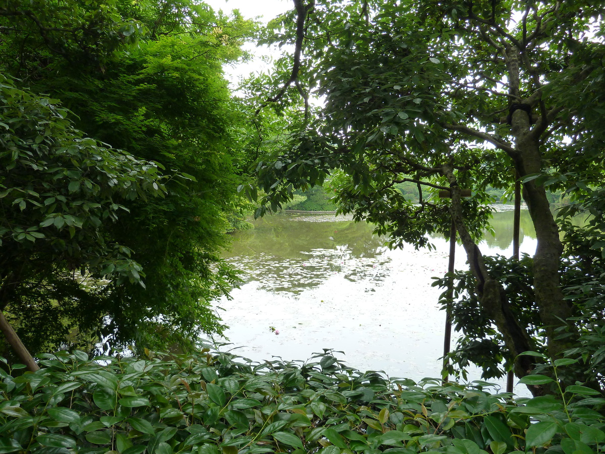 照片 日本(Japan) 京都(Kyoto) 龙安寺(Ryoanji Temple) 2010-06 27