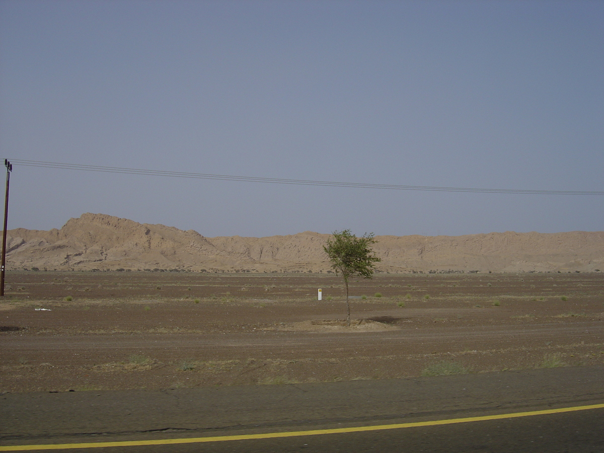照片 阿曼(Oman) 布赖米至苏哈尔公路(Buraimi to Sohar road) 2005-03 25