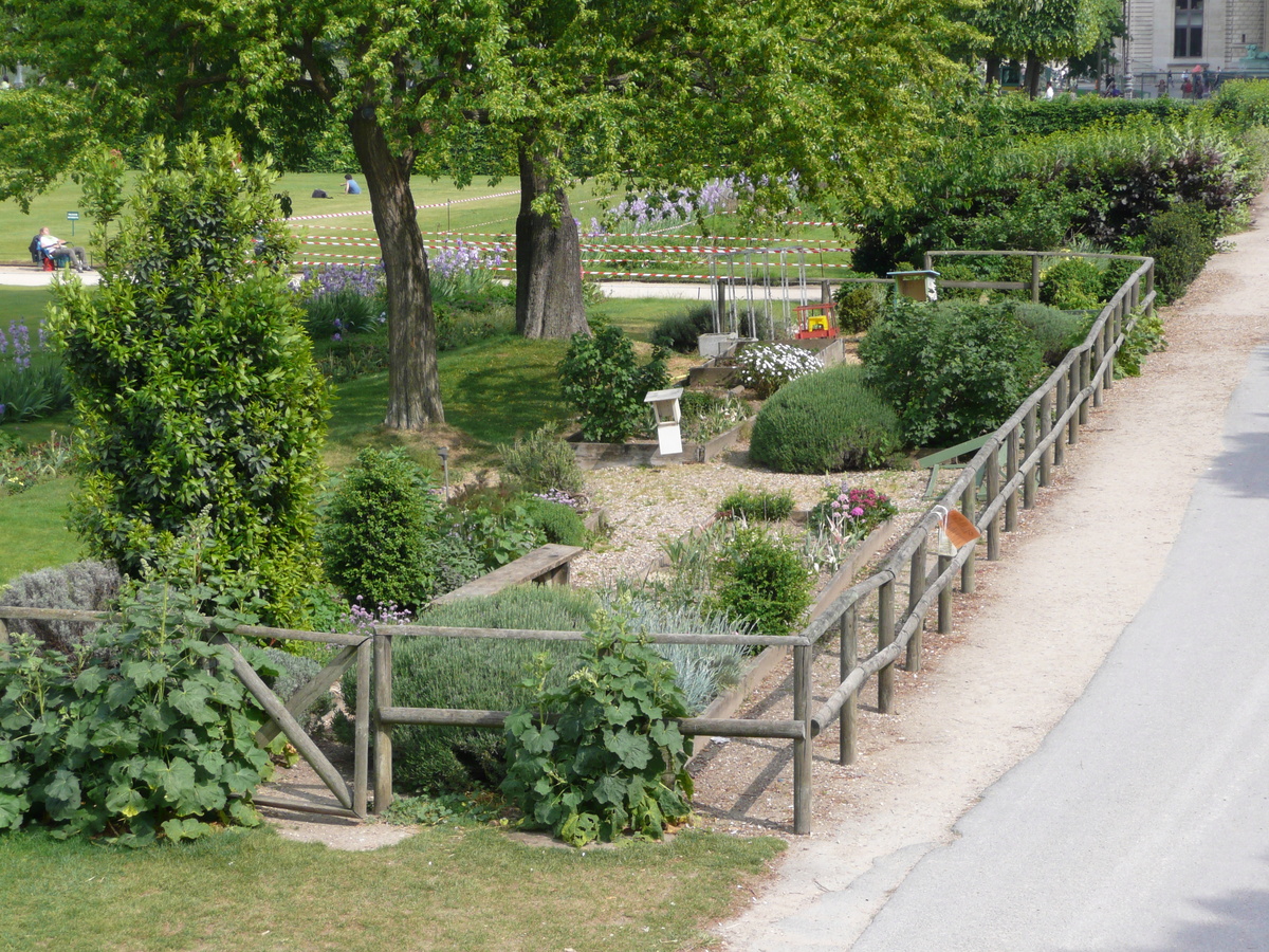 照片 法国(France) 巴黎(Paris) 杜乐丽花园(Garden of Tuileries) 2007-05 182