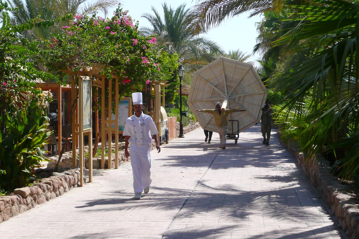 照片 埃及(Egypt) 沙姆沙伊赫(Sharm el Sheikh) 2008-06 75