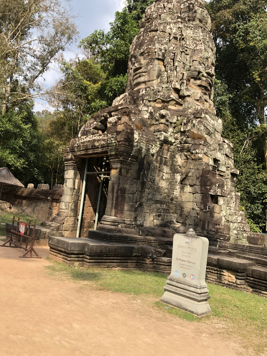 照片 柬埔寨(Cambodia) 暹粒(Siem Reap) 塔布茏寺(Ta Prohm) 2023-01 97
