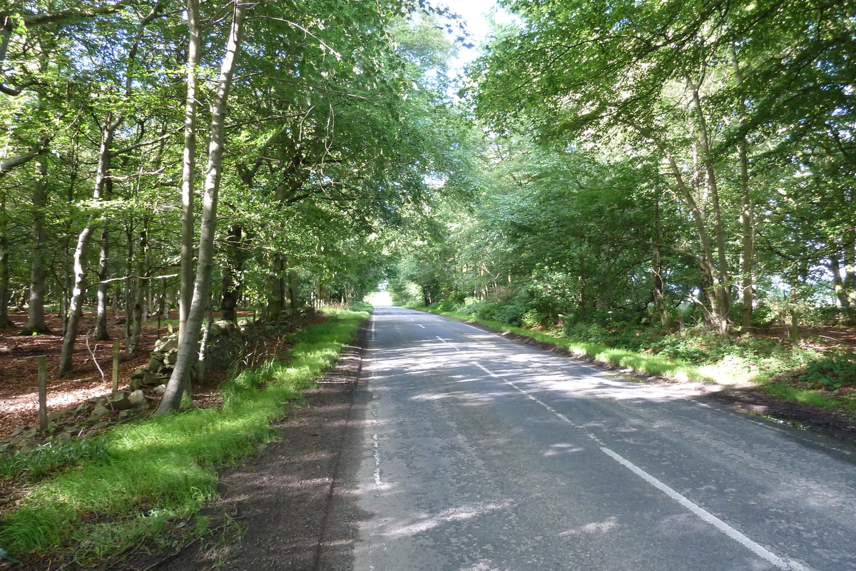 照片 英国(United Kingdom) 苏格兰(Scotland) 班夫(Banff) 2011-07 5