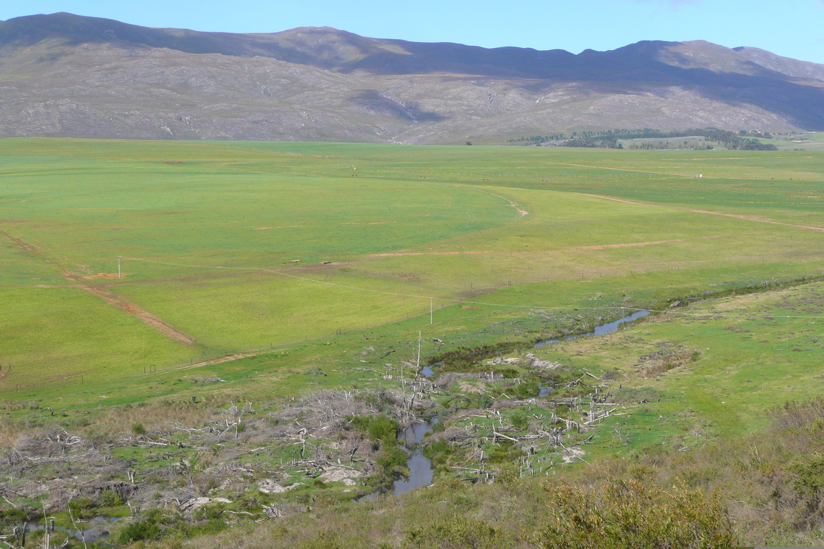照片 南非(South Africa) 赫曼努斯至克尼斯纳公路(Harmanus to Knysna road) 2008-09 145